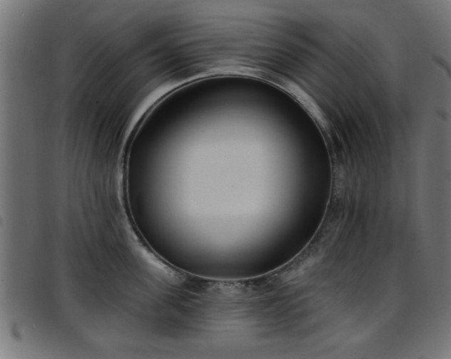 X0000097590955200803071318