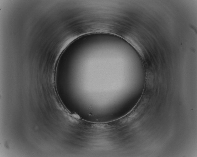 X0000097590956200803071318