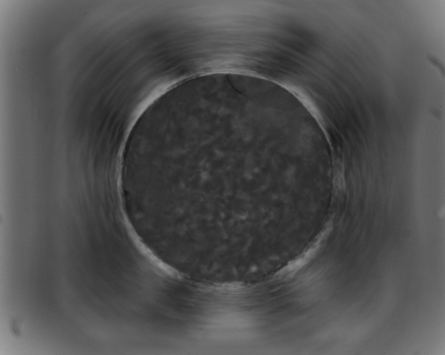 X0000097590957200803071318