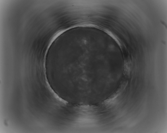 X0000097590959200803071318