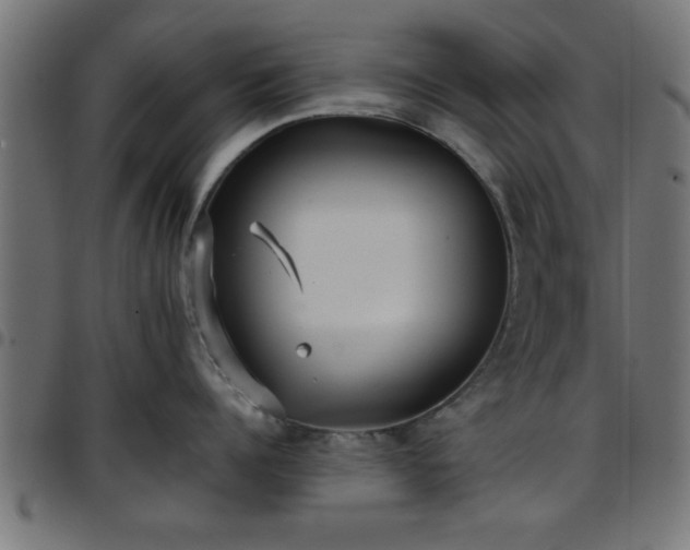 X0000097590960200803071318