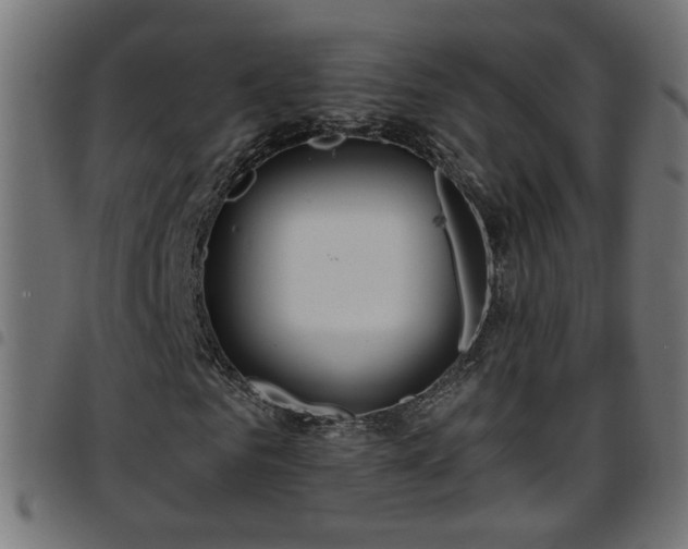 X0000097590961200803071317