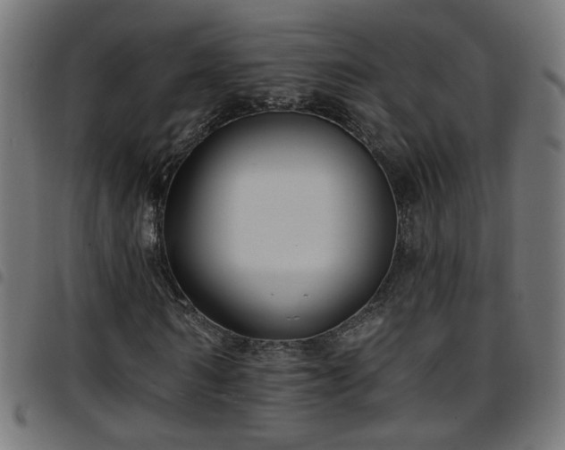 X0000097590962200803071317