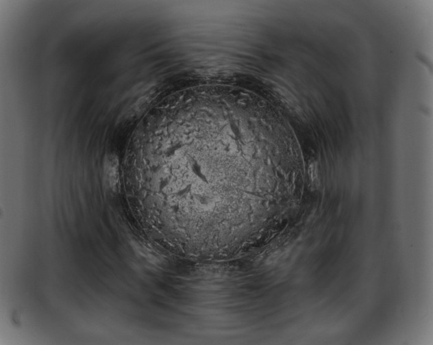 X0000097590963200803071317