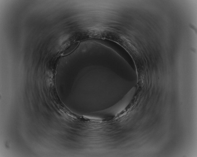 X0000097590964200803071317