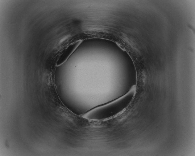 X0000097590965200803071317