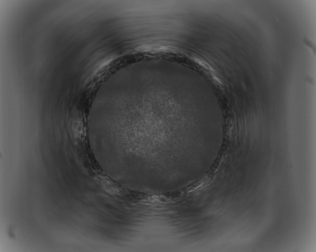 X0000097590966200803071317