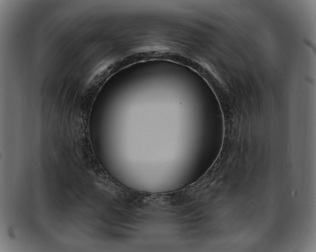 X0000097590967200803071317