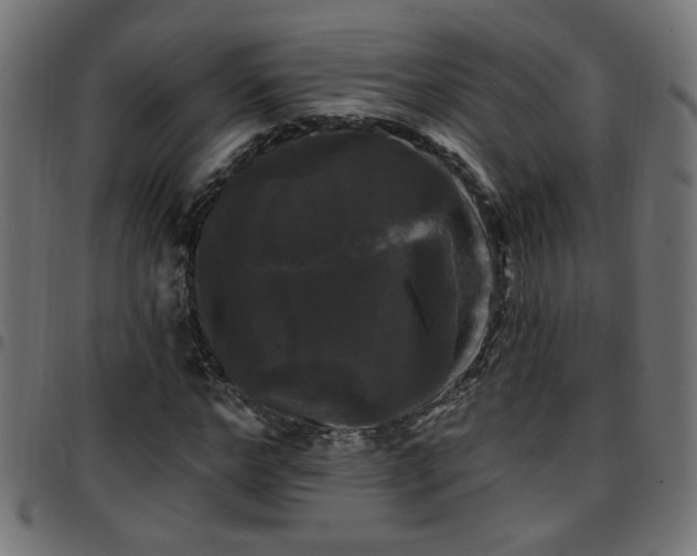 X0000097590968200803071317