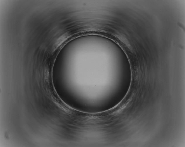 X0000097590969200803071317