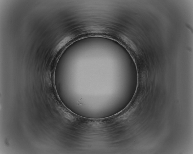 X0000097590970200803071317