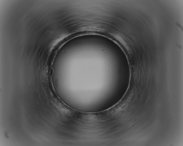 X0000097590971200803071317