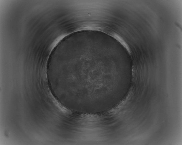 X0000097590972200803071317