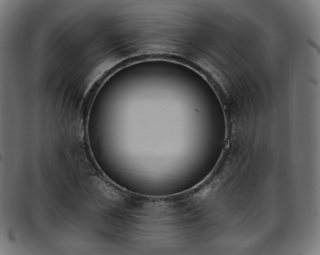 X0000097590973200803071317