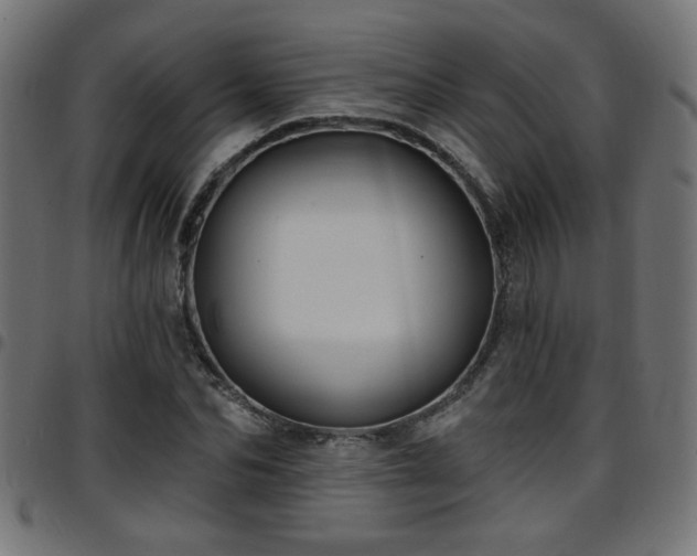 X0000097590974200803071317