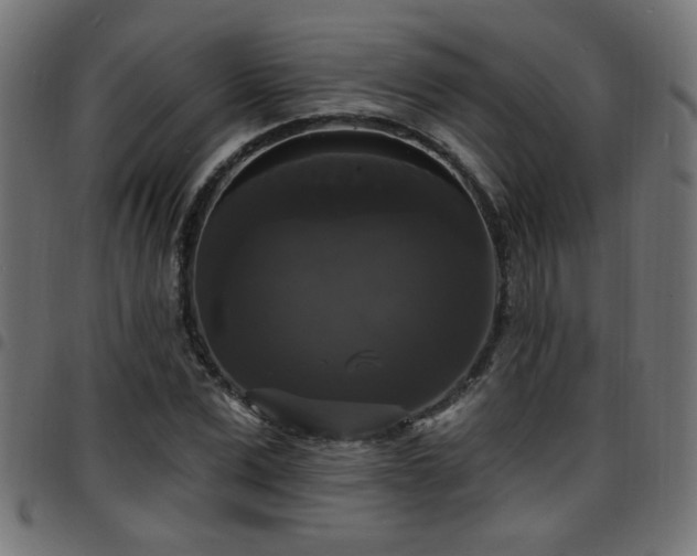 X0000097590975200803071317