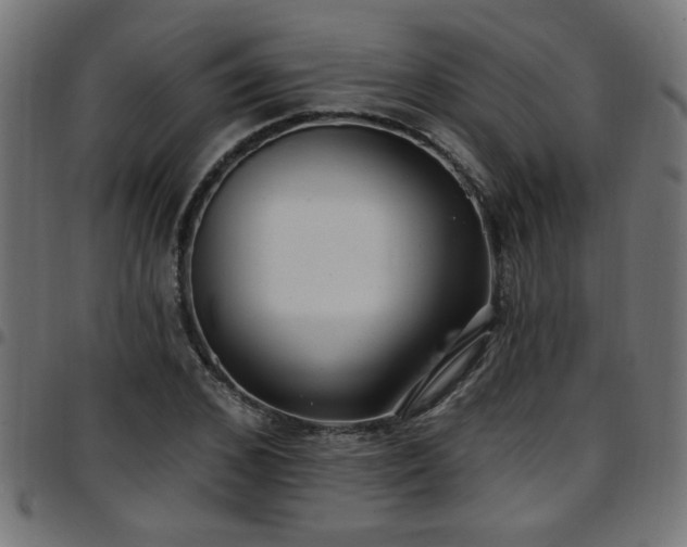 X0000097590976200803071317