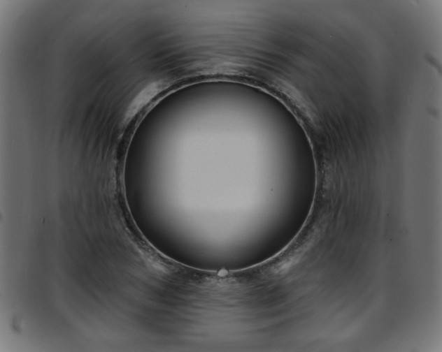 X0000097590978200803071317