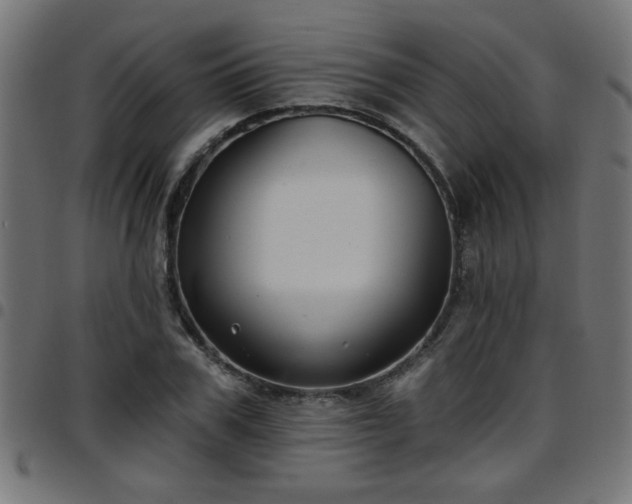 X0000097590979200803071317