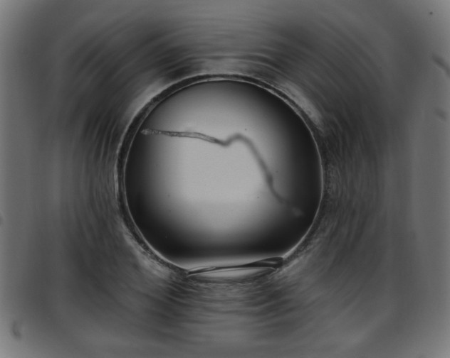 X0000097590980200803071317