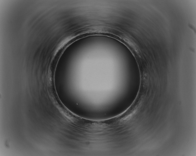 X0000097590981200803071317