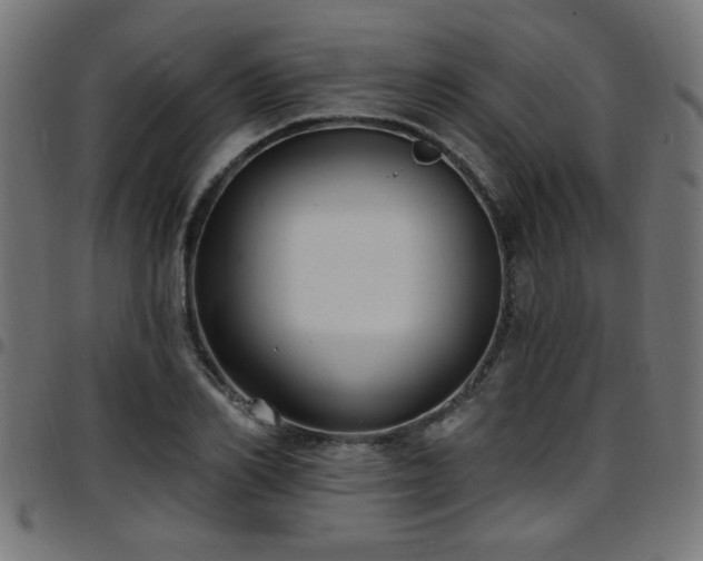 X0000097590982200803071317