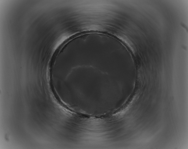 X0000097590983200803071317