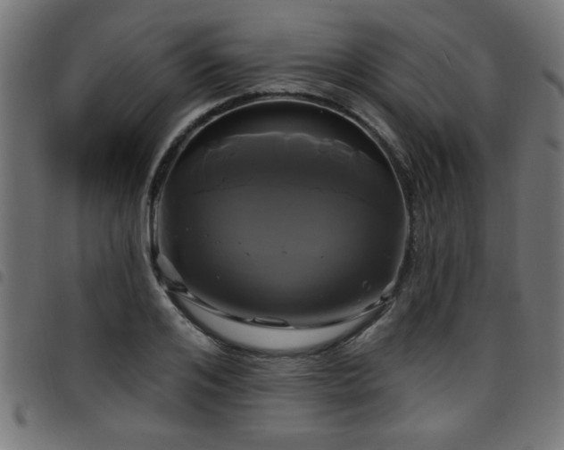 X0000097590984200803071317