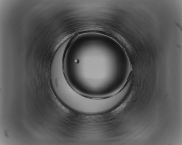 X0000097590985200803071317