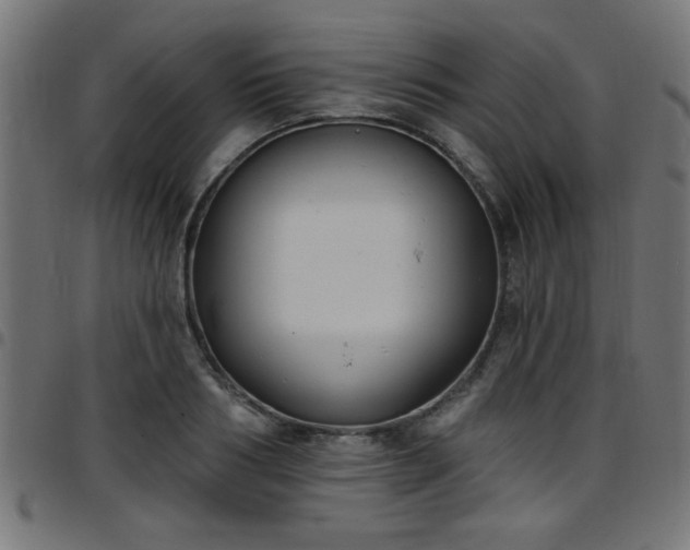 X0000097590986200803071317