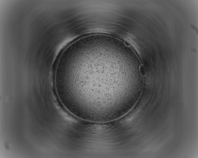 X0000097590987200803071317