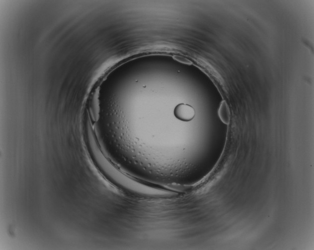 X0000097590989200803071317