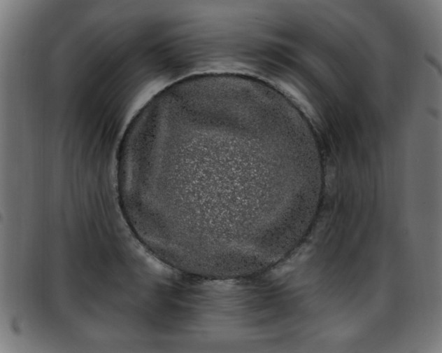 X0000097590990200803071317