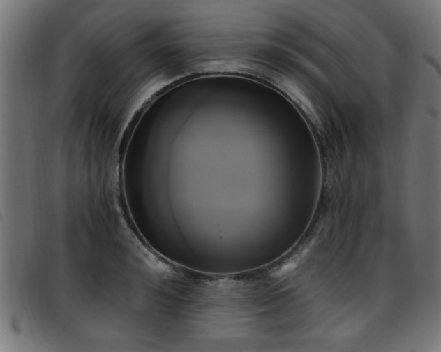 X0000097590992200803071317