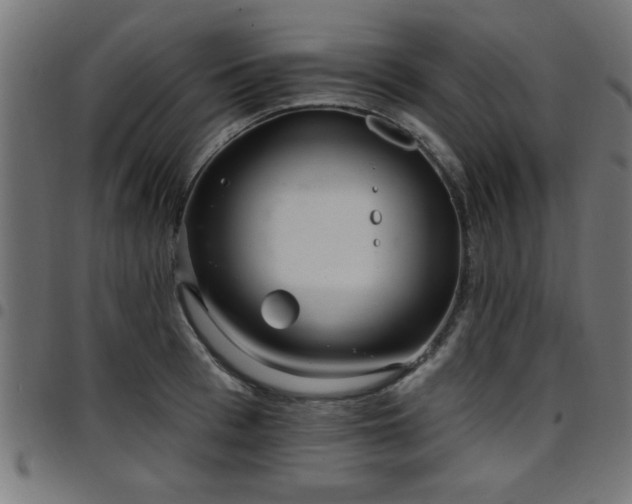 X0000097590993200803071317