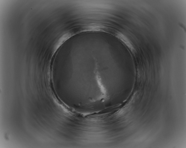 X0000097590994200803071316