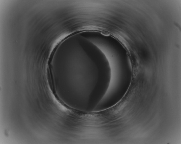 X0000097590995200803071316