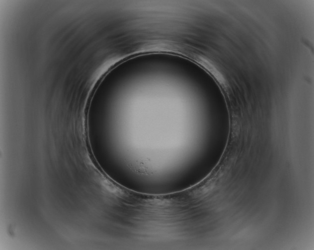 X0000097590996200803071316