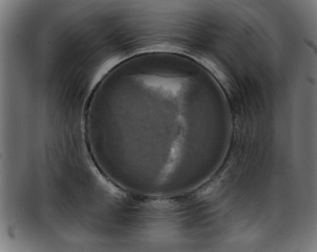 X0000097590998200803071316