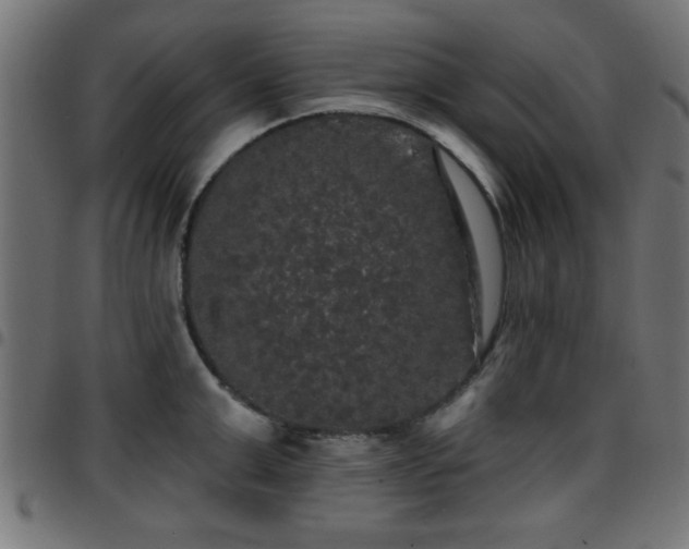 X0000097590999200803071316