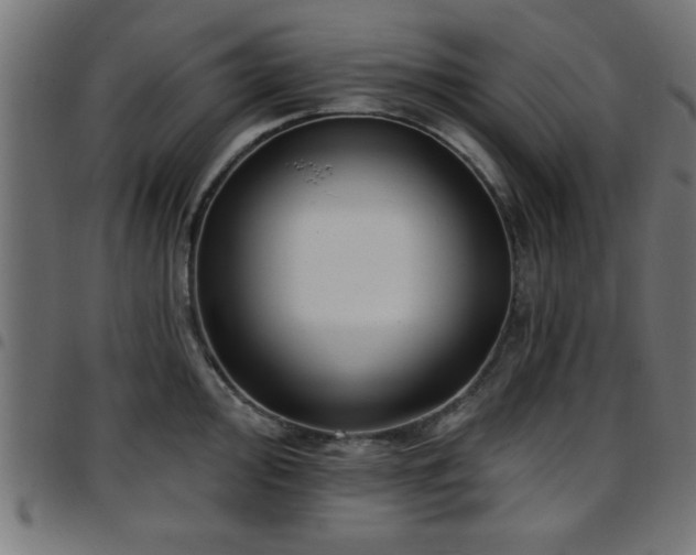 X0000097591000200803071316