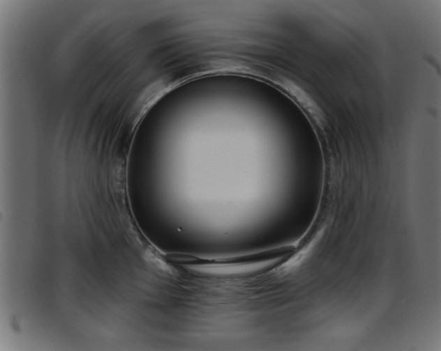 X0000097591001200803071316