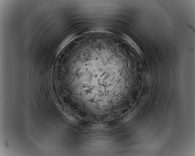 X0000097591002200803071316