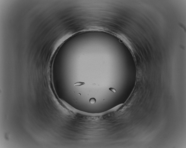 X0000097591003200803071316