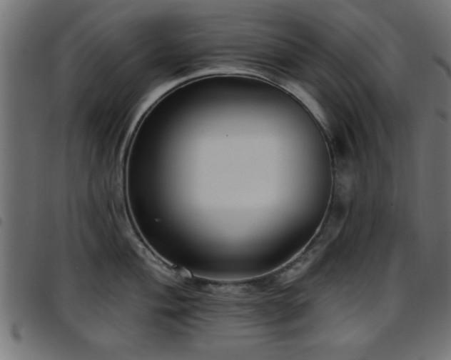 X0000097591004200803071316