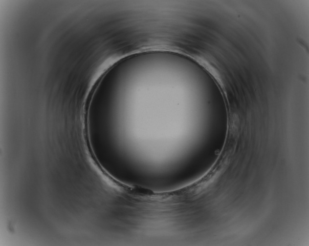 X0000097591005200803071316