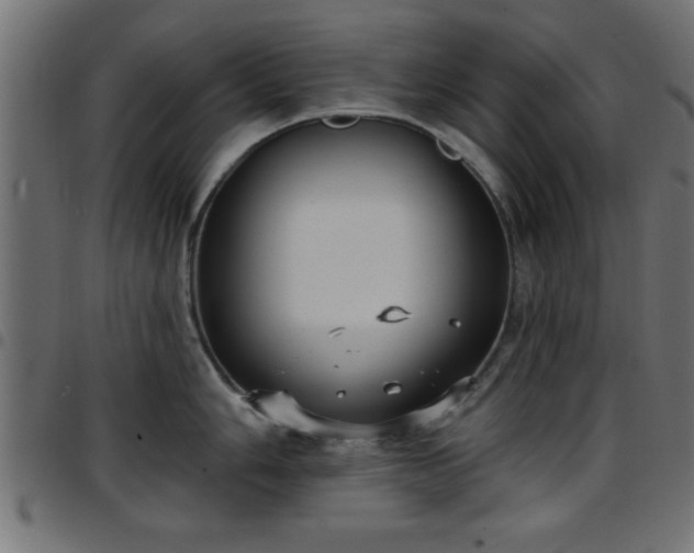 X0000097591006200803071316