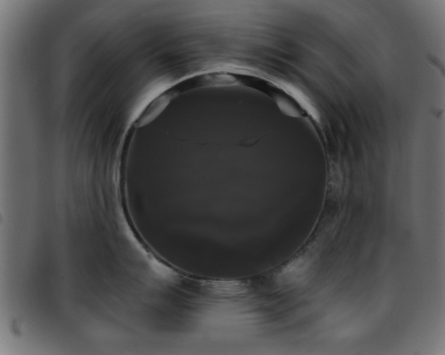 X0000097591007200803071316