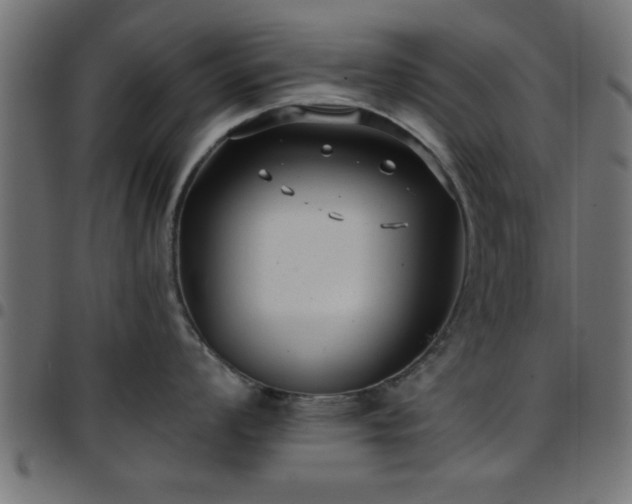 X0000097591008200803071316