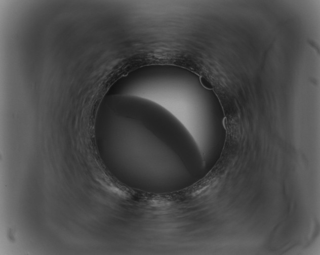 X0000097591009200803071316